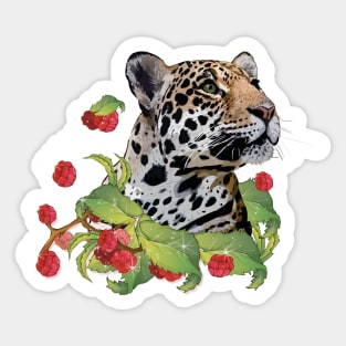 yaguar or yaguareté is a felid carnivore of the Panterinos subfamily and genus Panthera. It is the only one of the five current species of this genus found in America. It is also the largest feline in America and the third in the world. Sticker